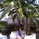 ���� Mitko, �����, 60 ��� - ��������� 15 ������� 2012 � ������ ���� ����������