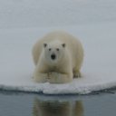 ���� ����, �����������, 25 ��� - ��������� 1 ������� 2012 � ������ �������