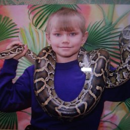 ���� ������, ���������, 25 ��� - ��������� 8 ���� 2013