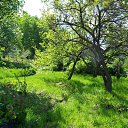 ���� Elena, �����������, 62 ���� - ��������� 15 �������� 2011