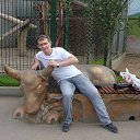 ���� ����, ������ ��������, 38 ��� - ��������� 31 ����� 2013 � ������ ���� ����������