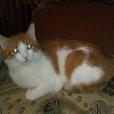 ���� ������, ���������, 67 ��� - ��������� 17 ������ 2013