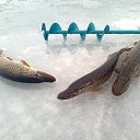 ���� ���������- ���� �������� !!, ������ - ��������� 9 ������� 2013 � ������ �9 ������� 2013� !!!!�