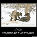 ���� �����, ��������, 44 ���� - ��������� 7 ������ 2011 � ������ ����������...�