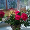 ���� �����, ��������, 57 ��� - ��������� 12 ������� 2011 � ������ �������