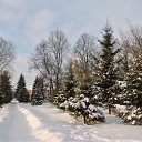 ���� ������, ��������� - ��������� 30 ������ 2010 � ������ ����� � ������