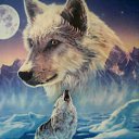 ���� �����, ������ - ��������� 3 ������ 2012 � ������ �������