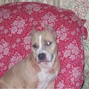 ���� Ninell, �������, 51 ��� - ��������� 26 ������ 2010 � ������ �������