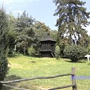 ���� ������, ���� - ��������� 16 ������� 2013 � ������ ���� ����������