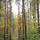 ���� �������, ������ - ��������� 28 �������� 2010 � ������ �������� ���� :)))�