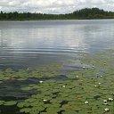 ���� �����, ���������, 62 ���� - ��������� 2 ������� 2013 � ������ ���� ����������