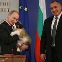 ���� ����� �, ����, 26 ��� - ��������� 15 ����� 2012 � ������ ���� ����������