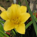 ����-��� � �����,�������� �� ������� ���� ����������