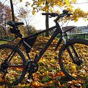 ���� �����, ������, 44 ���� - ��������� 6 ������� 2011 � ������ ���� ������� �������