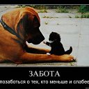 ���� �����, ����������, 60 ��� - ��������� 10 ������ 2010 � ������ �������