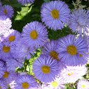 ���� ����@, ��������, 62 ���� - ��������� 5 ���� 2010 � ������ ��������� �������