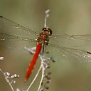 ���� **���� ������ �**, ������ - ��������� 20 ������� 2012 � ������ ���������