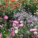 ���� ���������, ������ ��������, 46 ��� - ��������� 29 ������ 2009 � ������ ���� ��������!�