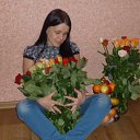 ���� �����, �����������, 44 ���� - ��������� 26 ����� 2012 � ������ ���� ����������