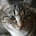 ���� ������, ����, 73 ���� - ��������� 3 ������ 2012 � ������ �������