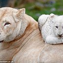 ���� �� ��������� �������� ��� �� ������� ������ ����,��� ����λ