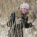 ���� �������, ���, 50 ��� - ��������� 6 ������� 2012 � ������ ���� ����������