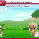  , , 40  -  22  2010   PetLove