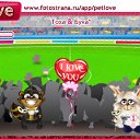 ���� Nika, ����, 38 ��� - ��������� 10 ������ 2010 � ������ �PetLove�