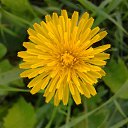 ���� ������, ������, 59 ��� - ��������� 21 ������� 2012 � ������ ���� ����