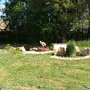 ���� ������, ������������ - ��������� 3 ��� 2012 � ������ ���� ����������