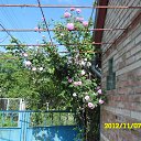 ���� Vitaliy, ����, 53 ���� - ��������� 26 ��� 2013 � ������ ���� ����������