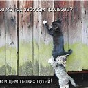 ���� �������, ������, 52 ���� - ��������� 8 ����� 2013 � ������ ���� ����������