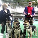 ���� �����, ������ - ��������� 12 ���� 2013