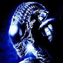  Xenomorph, , 53  -  16  2011   