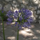 ���� Toryst, �����-���������, 53 ���� - ��������� 9 ����� 2010 � ������ ������������� ������� (��������� ������� ��������)�