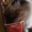 ���� ����, �������� - ��������� 22 �������� 2012 � ������ ����� �������)))�