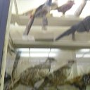 ���� ���, ��������, 30 ��� - ��������� 11 ���� 2013 � ������ ���� ����������