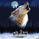 ���� �����, ������, 54 ���� - ��������� 2 ������ 2011 � ������ �������