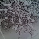 ���� ������, ������, 58 ��� - ��������� 4 ������ 2011 � ������ �����,��� � �.�.�
