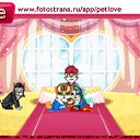  , , 22  -  21  2011   PetLove