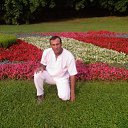 im moscow gardin    