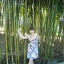  aea, , 41  -  16  2011    