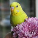 ���� �������, ������ - ��������� 15 ������ 2012 � ������ ��������