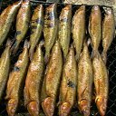 ����������� �����, ��� �����������! �� ������� ���� ����������