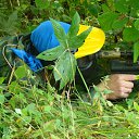 ���� ������� (������ �����), ������, 42 ���� - ��������� 2 �������� 2011