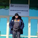 ���� �����, ����������, 43 ���� - ��������� 27 ������ 2013 � ������ ���� ����������