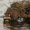 ���� ���, ������� ���� - ��������� 9 ������ 2011 � ������ �� � ��� ������� �����