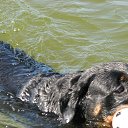 ���� ����, ������ - ��������� 29 ������ 2013 � ������ �������