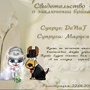 ���� ����, ��������, 44 ���� - ��������� 12 �������� 2010 � ������ ���� �������