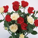 ���� ����� - ���������� ��������!!!, �����������, 56 ��� - ��������� 15 ������ 2010 � ������ ����ۻ